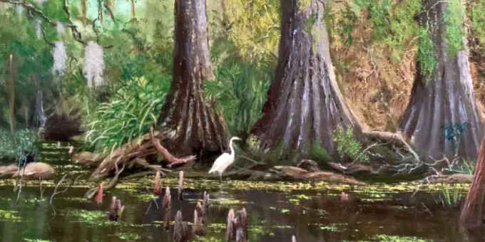 August Everglades
